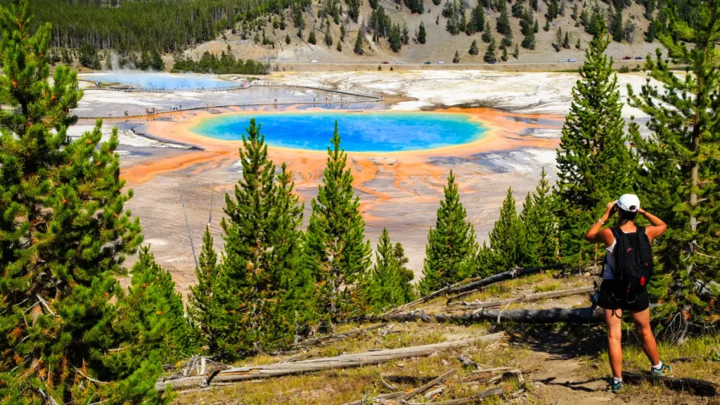 yellowstone