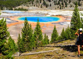yellowstone