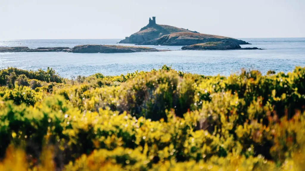 corse