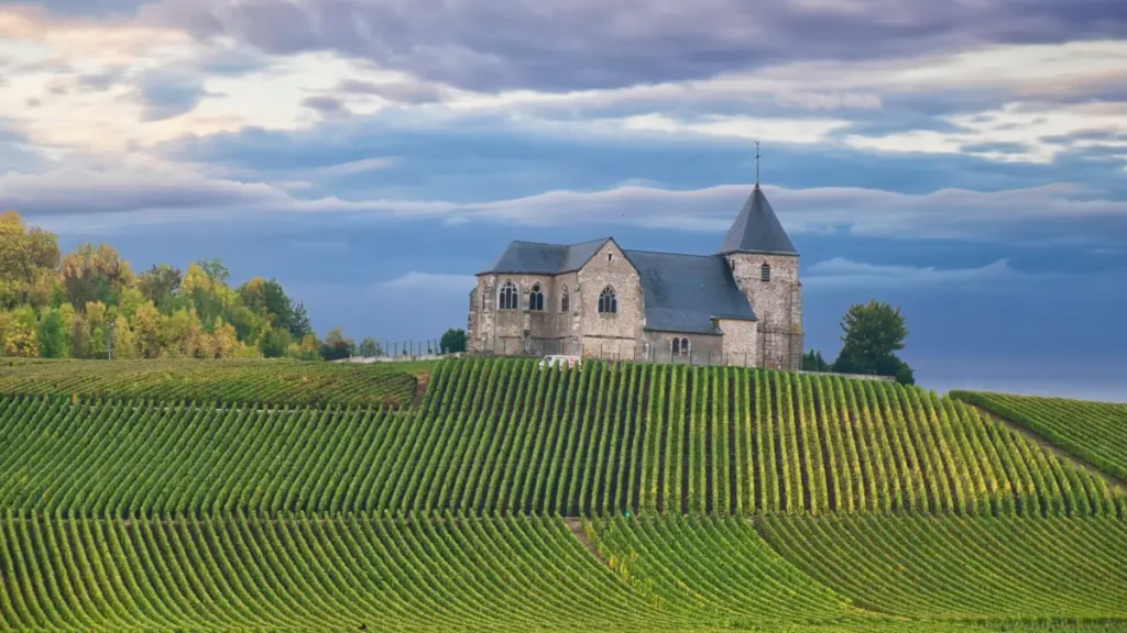 vignaux