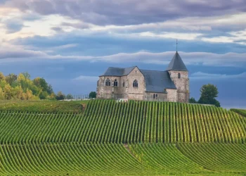 vignaux