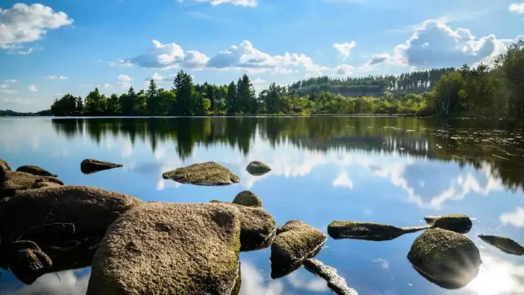 lac