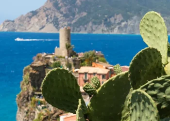 Sentiero italia