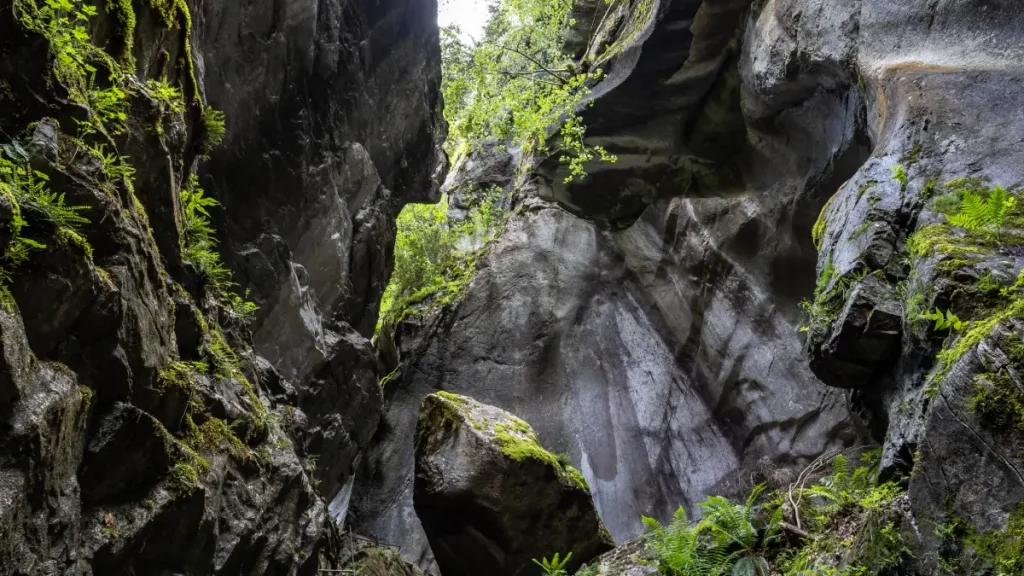 gorges des tines