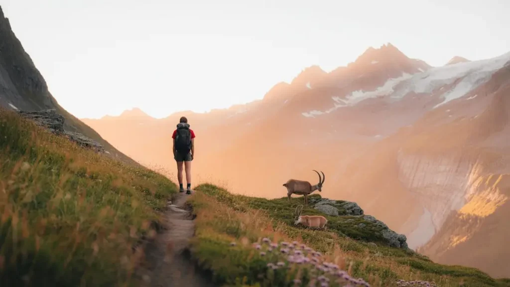 rando suisse