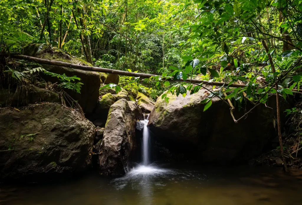 martinique