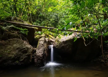martinique