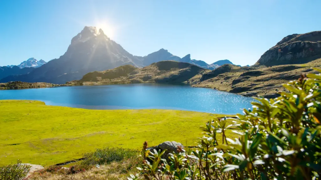 ossau