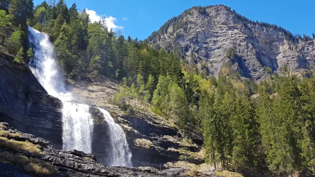 rando cascade rouget