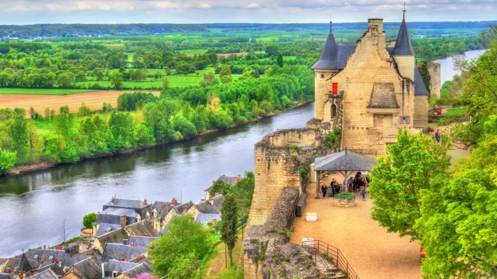 chinon
