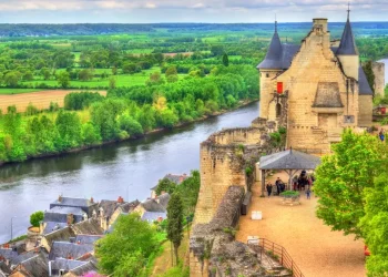 chinon