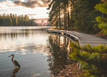 lac settons