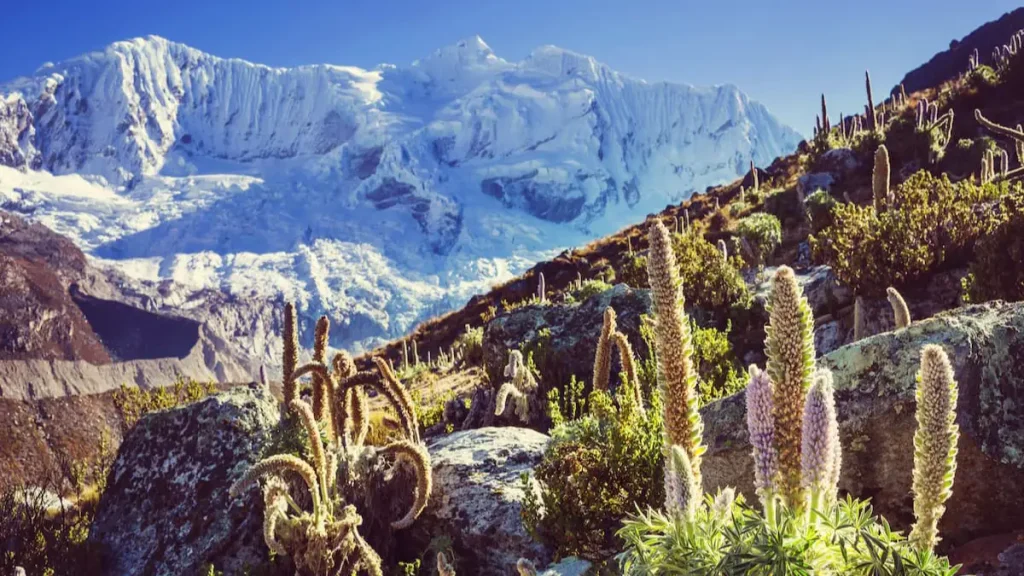 plus grande chaine montagne terre