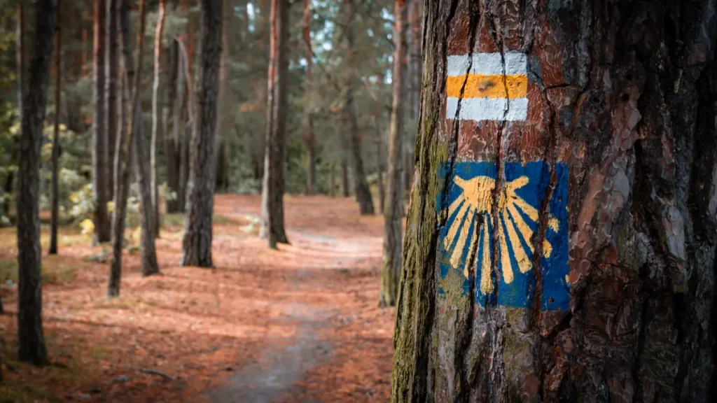 compostelle out