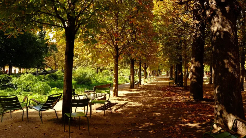 foret st germain