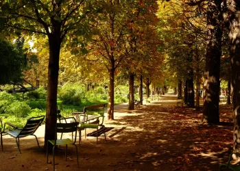 foret st germain