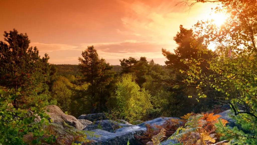 gorges fontainebleau
