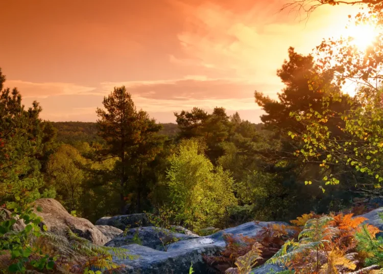gorges fontainebleau
