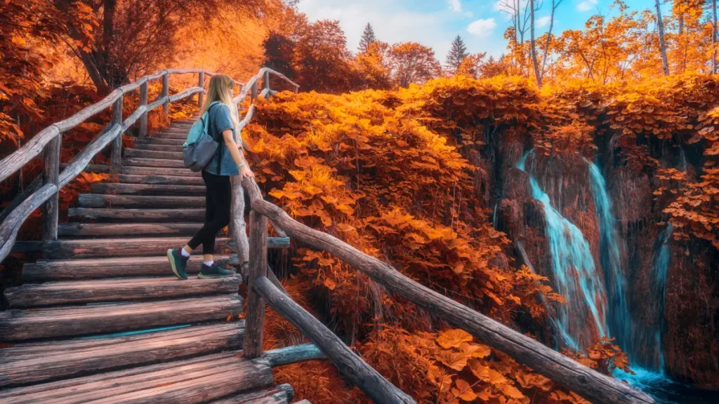 endroit europs automne