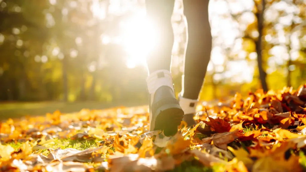 balade automne