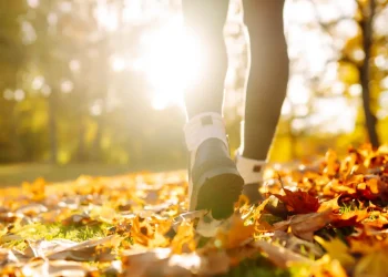 balade automne