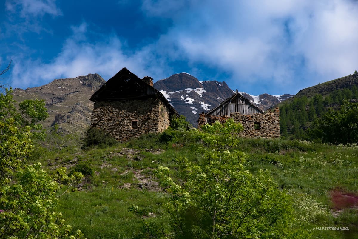 dormihouse