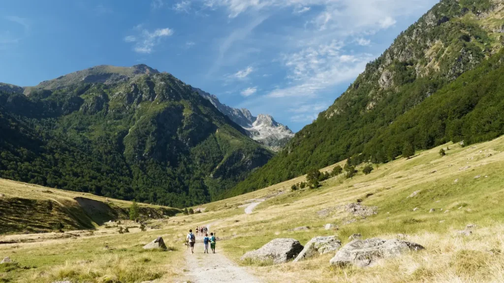 dent d'orlu