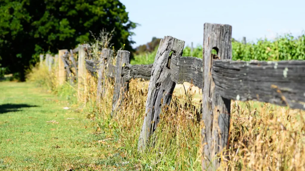 nouvelle loi engrillagement