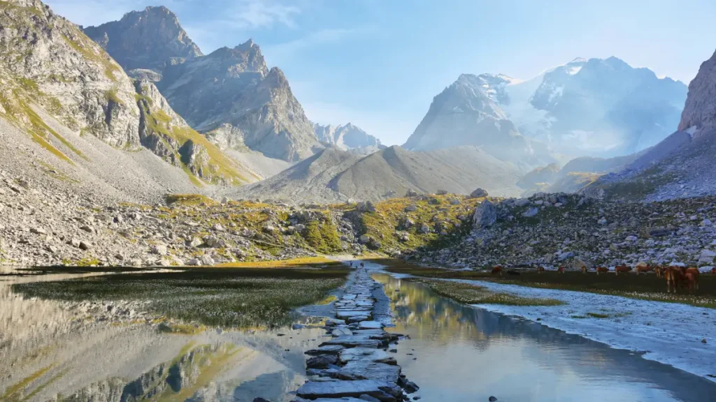 lac des vaches