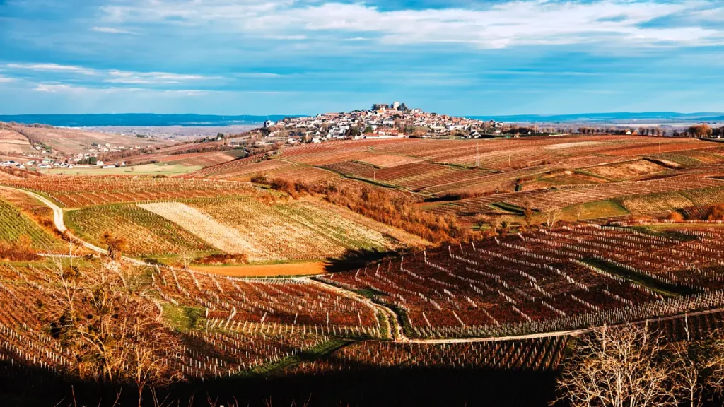 sancerre