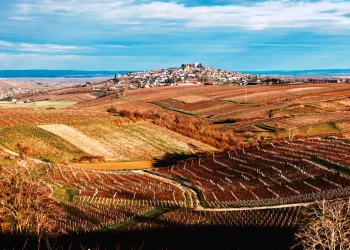 sancerre