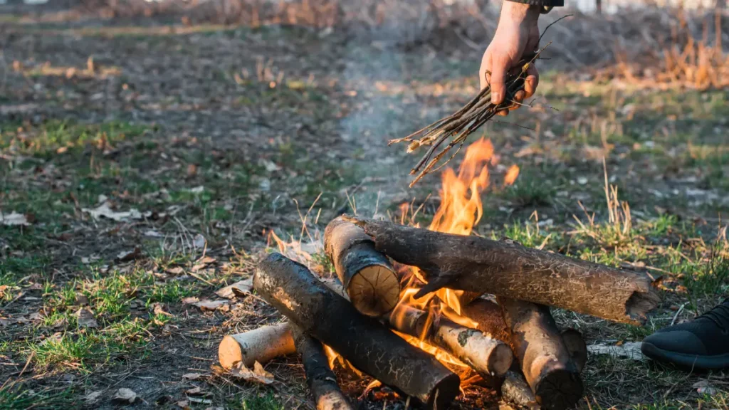 bivouac feu