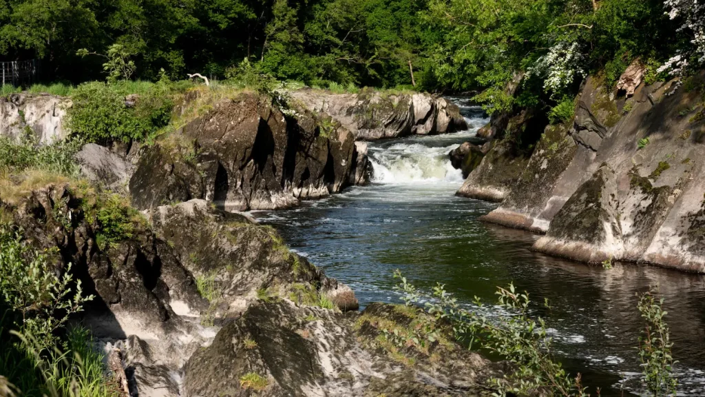 Teifi Valley Trail