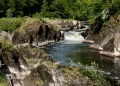 Teifi Valley Trail