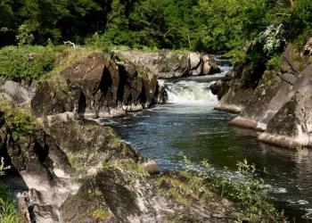 Teifi Valley Trail