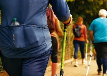 batons de marche dynamiques