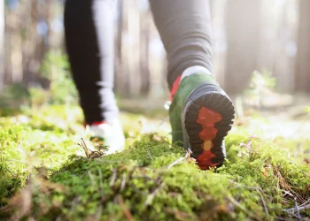 sentier de randonnée