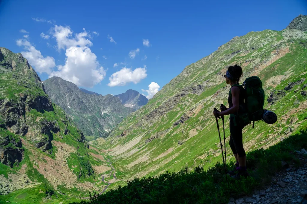 pyrenees