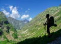 pyrenees