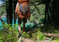 accessoires de rando