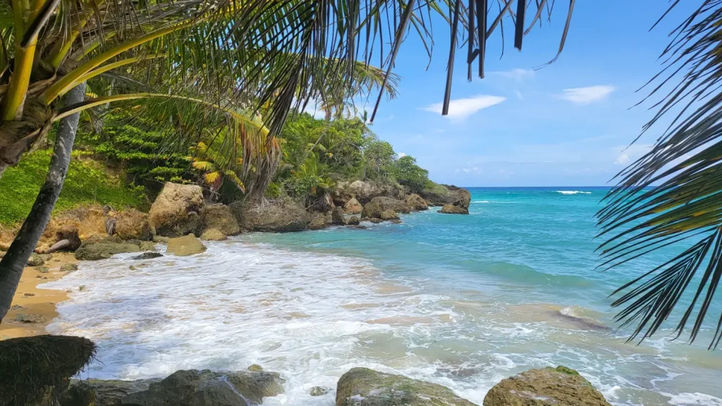 île dominique