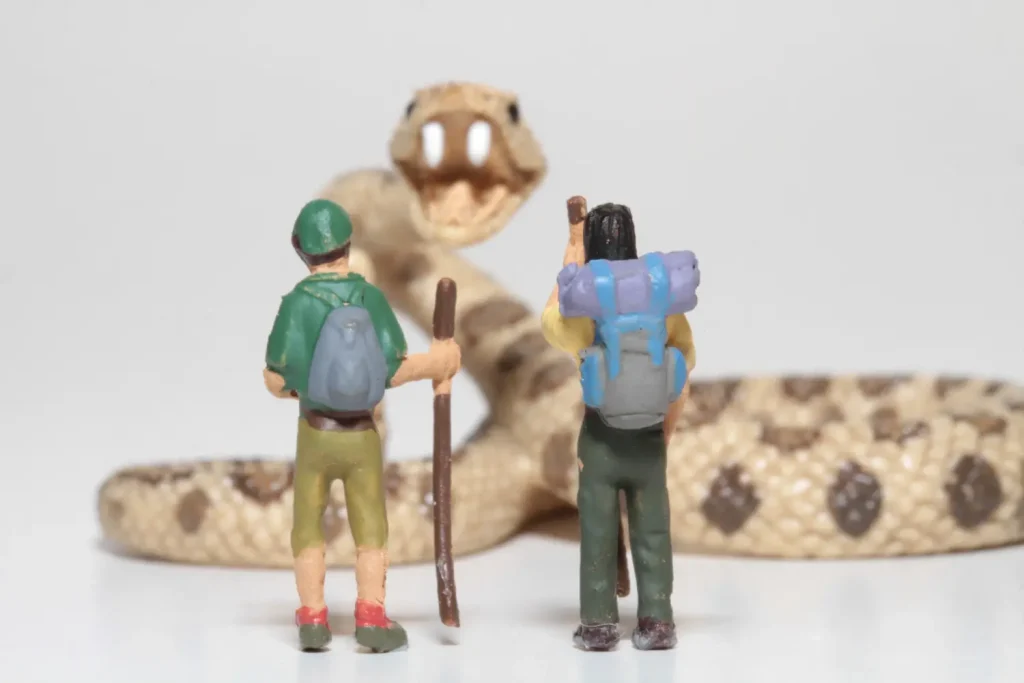 randonneurs vs serpents