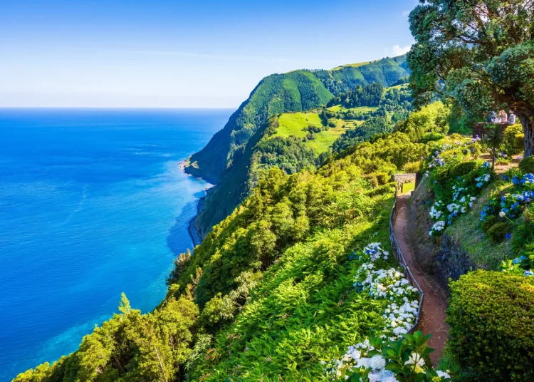 sao miguel