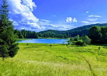 lac genin