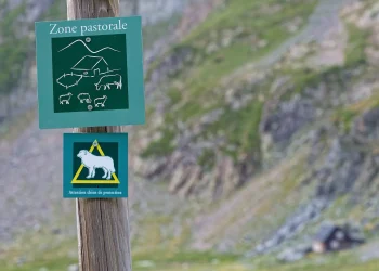 patous dans le jura