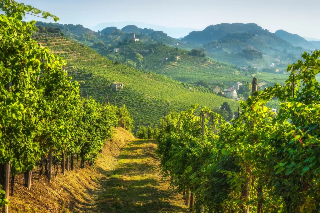 collines proscesco