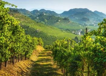 collines proscesco