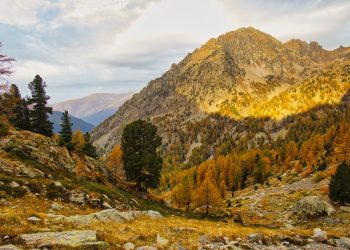 Randonneur sur un sentier français avec paysage de montagne