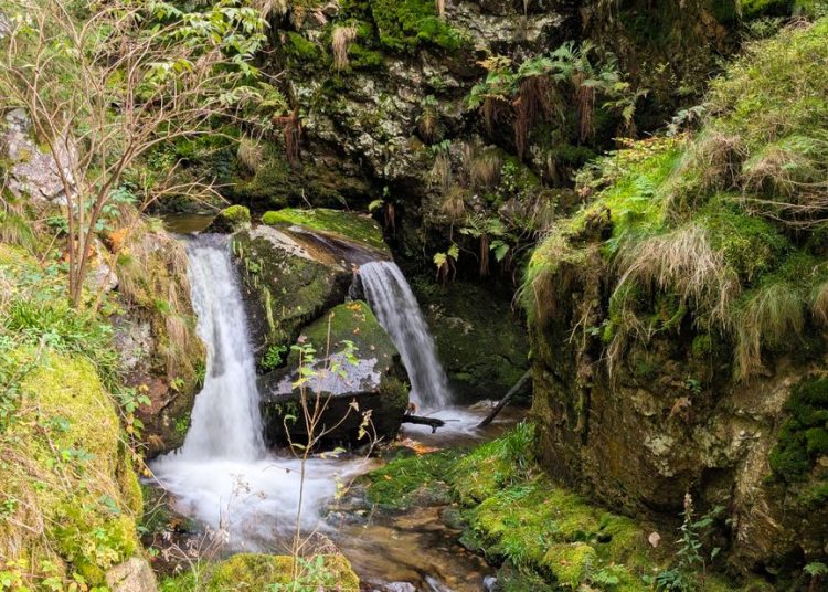 Gorge boisée avec cascade, refuge de fraîcheur en été