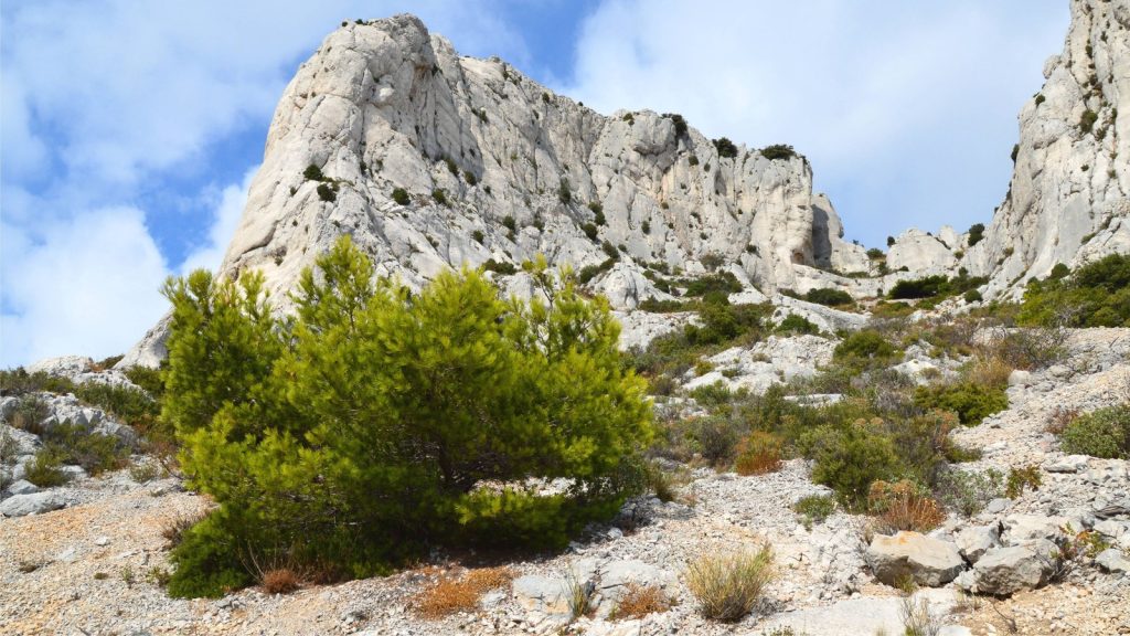 Formation calcaire blanche entourée de végétation méditerranéenne
